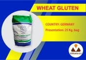Wheat Gluten